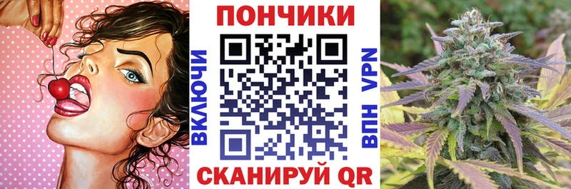 Шишки марихуана план  Завитинск 